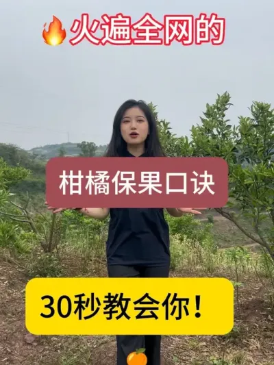火遍全网的柑橘保果口诀！快点赞收藏起来！！#柑橘种植 #果农 #国光贝能方案