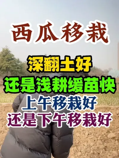 ��������������վ�ǳ�������������վ��������� #����ݪֲ #����ݪֲ���� #ݪֲС���� #����ũҵС֪ʶ