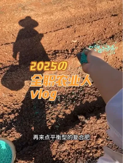 ���ϼ����������ﲥ����������Ҫ�ֿڸз���������Ҫ�ֶ��������Ǹ���Ϊ���������������������������ֶ���#��ũ�� #�ﲥ������