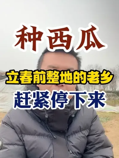 种西瓜立春之前整地的老乡赶紧停下来 #西瓜种植 #西瓜种植技术 #种植小技巧 #传播农业小知识