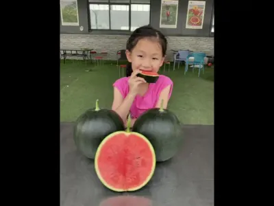 ԥ�պ�ƤС��������Ʒ������������ʲô�õ�����������̸�������ԣ�ϣ����һ��Ʒ���������������#ԥ������ #��Ƥ���� #ī�� #С���� #ī��