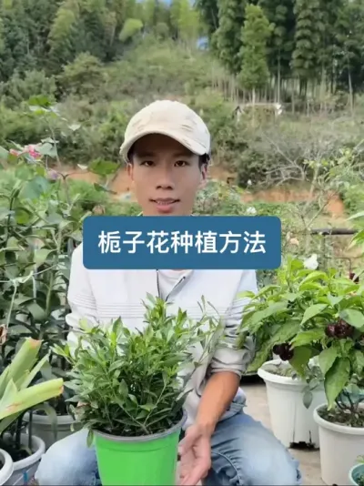 历时八个多月，从种植到开花，栀子花的种植方法全过程 #家庭种植 #绿植花卉 #栀子花