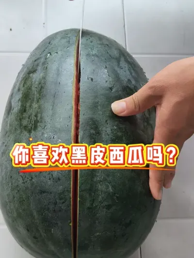 ��Ƥ���ϻ�����ռ���г�����#��Ƥ���� #��Ƥ���� #ԥ������ #ԥ����ȭ�� #¶������