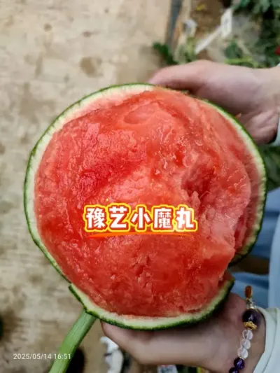 ԥ��Сħ���Ʒ��Բ�����������ڸкô��ȿ�������ְ�Ƥ������#���� #ԥ������ #Сħ��