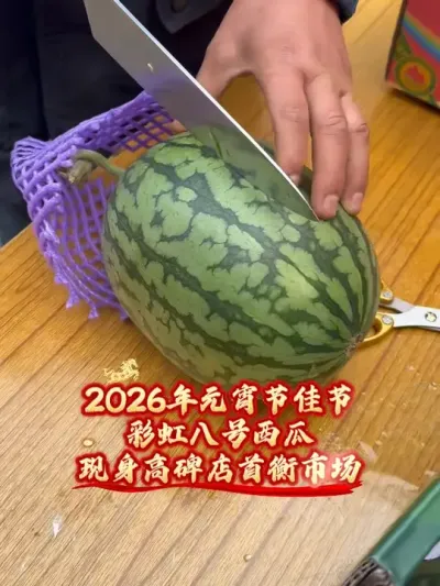 2026年元宵佳节第一次能品味到彩虹八号西瓜，打通彩虹八号西瓜供应链，让每个环节上面的人都有满意的收益，欢迎更多志同道合的朋友加入！