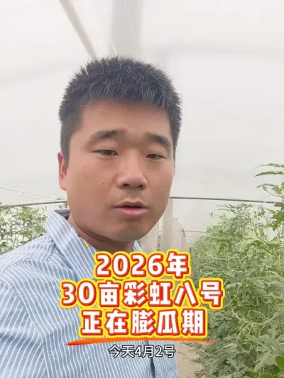 2026��30Ķ�ʺ�˺�����������Ԥ��4��20�ճ��죡#�ʺ�˺� #ԥ������ #�ʺ����� #��������