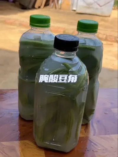 社恐的我，选择回村种地，毕竟这片土地，只认汗水，不问社交，今天整地种西瓜，吃豆角的季节，今天还做了点酸豆角，只要盐不放太多，就是很好的益生菌食物哦#我的乡村生活 #抖音新农人 #腌酸豆角