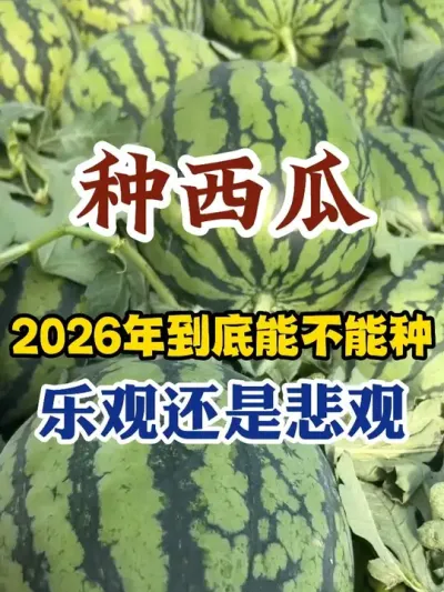 2026�����ϻ��ܲ����� #����ݪֲ #ݪֲС���� #����ݪֲ���� #����ũҵС֪ʶ