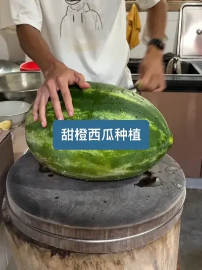 ��ʱһ�ٶ�������ݪֲ���ջ�����ɫ����Ʒ������ζ����ô���� #��ũ #ݪֲС���� #��ũ������2025