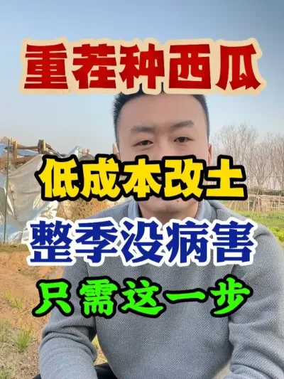 种西瓜低成本改土整季没病害只需这一步 #西瓜种植 #西瓜种植技术 #种植小技巧 #传播农业小知识