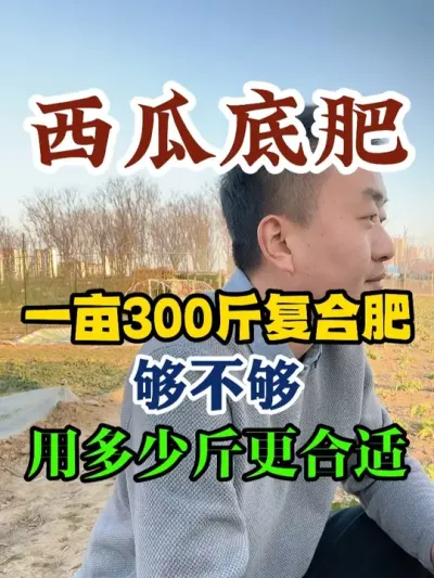 西瓜底肥一亩地三百斤复合肥够不够用多少斤更合适 #西瓜种植 #西瓜种植技术 #种植小技巧 #传播农业小知识