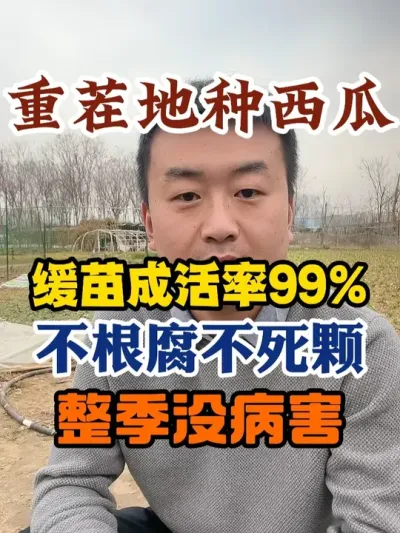 �ز������ϲ����Ų��ø�����ɻ���99%����û���� #����ݪֲ #����ݪֲ���� #����ũҵС֪ʶ #ݪֲС����