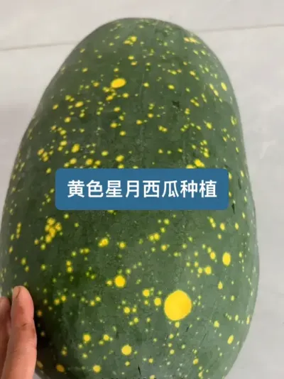 ��ʱ101�����������������ݪֲҪ��ȫ���� #��ũ #ݪֲС���� #���� #��ũ������2025