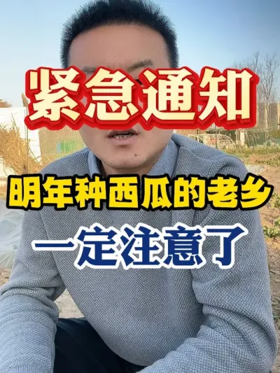 2026年种西瓜的老乡一定要注意了 #西瓜种植 #西瓜种植技术 #种植小技巧 #传播农业小知识