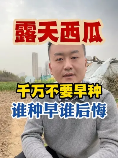 露天西瓜千万不要早种谁种早谁后悔 #西瓜种植 #西瓜种植技术 #种植小技巧 #传播农业小知识