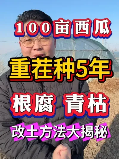 5�������ز�ص����� Ҫ�� #����ݪֲ #8424���� #������ #����ݪֲ #��������