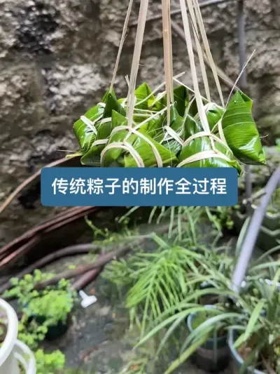 从材料到制作，端午节传统粽子的制作全过程 #包粽子#村里的端午是团圆  #新农人计划2025