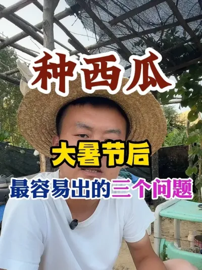 �����ϴ���ں������׳����������� #����ݪֲ #ũҵݪֲ #ݪֲС���� #����ũҵС֪ʶ #����ũҵ֪ʶ��ũ����������