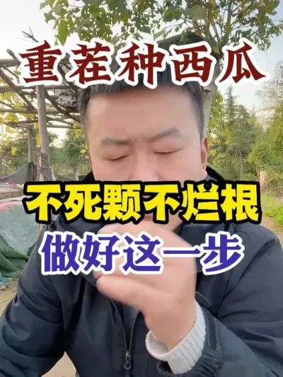 �ز��������������һ�������Ų��ø� #����ݪֲ #ũҵݪֲ #ݪֲС���� #����ũҵС֪ʶ