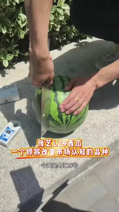 ԥ��L29���Ͼ�ϸ�����������������������ڴ��������������������������óԵ������������в�����ߵ���#ԥ��L29���� #ԥ������ #����� #�������� #�ʺ�����