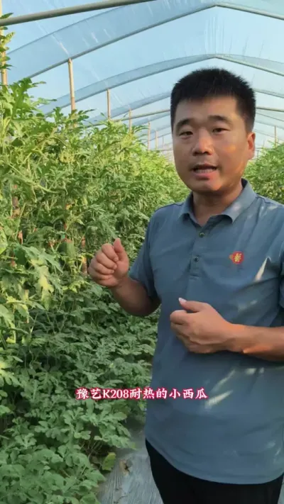 ��������Ʒ����ô����������������ʲôƷ���������ԥ��K208����������ѡƷ����#ԥ������#ԥ��K208 #��������Ʒ�� #����С����