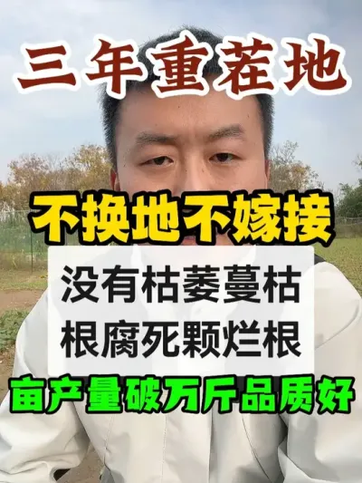 ������ز��������û�и�����ήĶ�������Ʒ�ʺ� #����ݪֲ #ũҵݪֲ #ݪֲС���� #����ũҵС֪ʶ