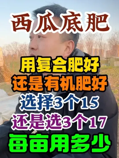 ���ϵ׷����ø��Ϸʺ��վ��л��ʺ�ѡ������ʮ���վ�����ʮ�� #����ݪֲ #����ݪֲ���� #ݪֲС���� #����ũҵС֪ʶ