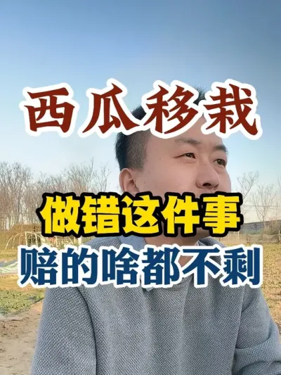 西瓜移栽做错这件事赔的啥都不剩 #西瓜种植 #西瓜种植技术 #种植小技巧 #传播农业小知识