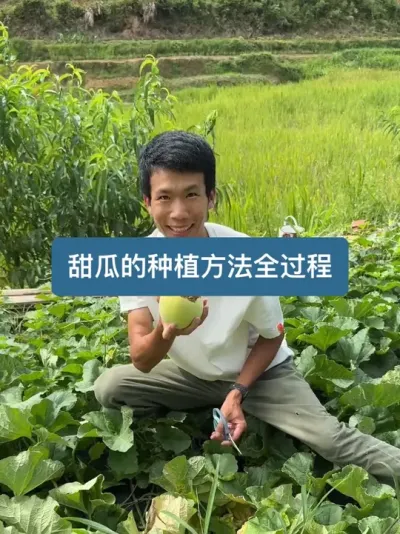 ��ʱ���������������ӵ��ջ���һ����Ƶ��������ݪֲ��� #��� #��� #��ũ������2025