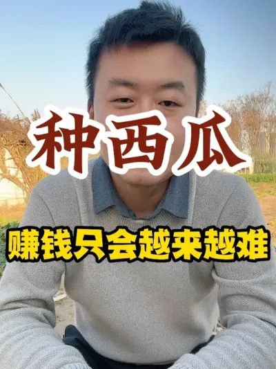 种西瓜赚钱只会越来越难 #西瓜种植 #种植小技巧 #传播农业小知识 #西瓜管理
