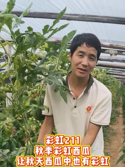 �＾�ʺ�����Ʒ����ô��������ԥ�չ�˾���Ƽ����ʺ�211������������Ҳ��һĨ�ʺ�ɫ��������������ǿ��ҧһ��Ҳ�д����ζ����#�ʺ�����#�ʺ�211#ԥ������#���������