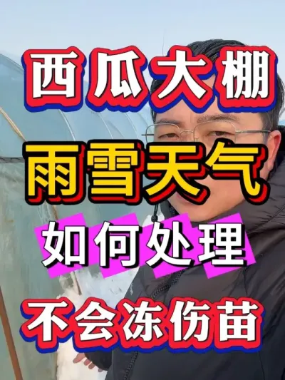 ����������ѩ�����������������ﲻ�ᱻ���� #������  #����ݪֲ #����ݪֲ #����ݪֲ  #����ݪֲ  #��������#8424����