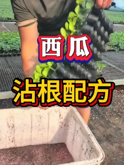 ����մ���䷽ #������  #����ݪֲ #����ݪֲ #����ݪֲ  #����ݪֲ  #��������#8424����