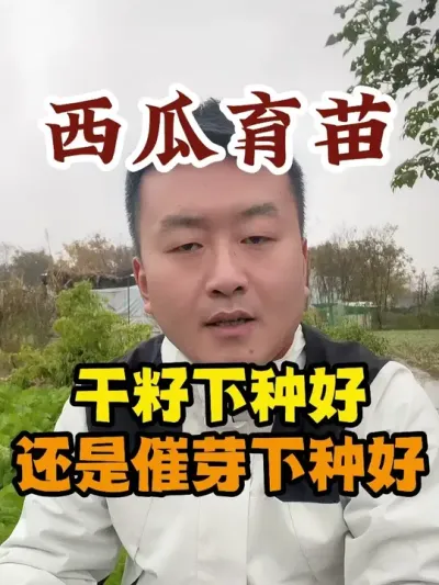 ��������������ֺ��վɴ�ѿ���ֺ�����ݪֲ #����ݪֲ #ݪֲС���� #���Ϲ��� #����ũҵС֪ʶ #����ũҵ֪ʶ��ũ����������