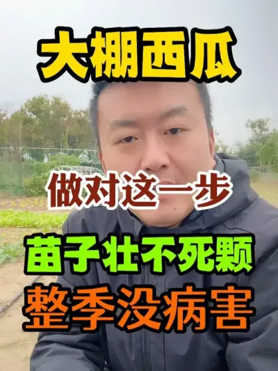 ��������������һ������׳����������û���� #����ݪֲ #ݪֲС���� #����ũҵС֪ʶ #����ũҵ֪ʶ��ũ����������