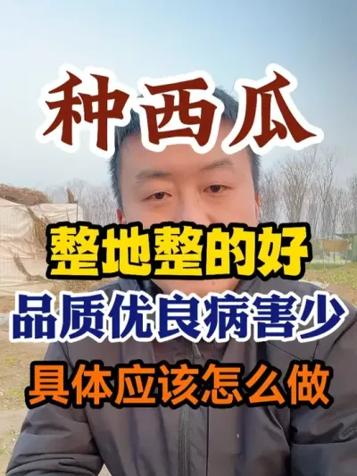 �����������ĺ�Ʒ��������������ϸ��ô�� #����ݪֲ #ݪֲС���� #����ݪֲ���� #����ũҵС֪ʶ