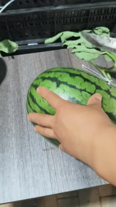 һ�������������һ�����˻�ζ���޵�Ʒ�֣�ԥ�ղʺ�˺������ֹ��˸��гɼ��У�#�ʺ�˺� #�ʺ����� #ԥ������ #����ũ��Ʒ #���������