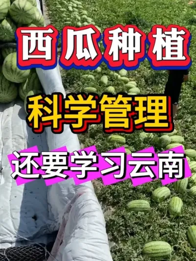 ����ݪֲ���������ϵĿ�ѧݪֲ������Ķ����1��������� #����ݪֲ #������ #����ݪֲ #�������� #8424����