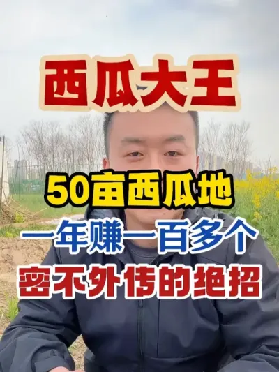 西瓜大王张大力50亩西瓜年赚100个的秘诀 #西瓜种植 #西瓜种植技术 #种植小技巧 #传播农业小知识