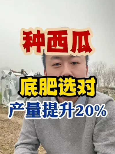种西瓜底肥选对产量提升20%以上 #西瓜种植 #西瓜种植技术 #种植小技巧 #传播农业小知识