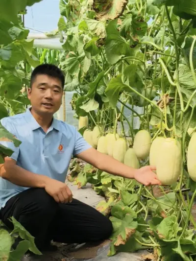 ԥ����������߲�������Ʒ�����ù��������ز���������3-4�����Ƕȿɴ�18����#ԥ���#ԥ����� #��Ƥ��� #��Ƥ���