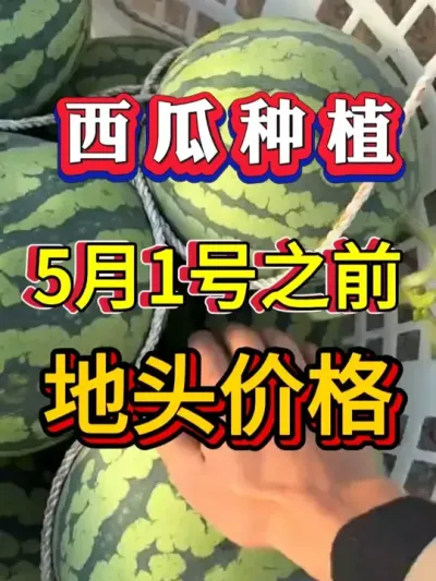 2026��5��1��֮ǰ ��ͷ��Ǯ #����ݪֲ #������ #����ݪֲ #�������� #8424����