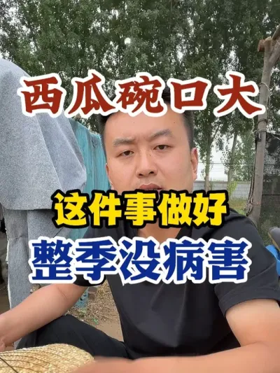 西瓜碗口大小做好这件事整季没病害 #西瓜种植 #农业种植 #种植小技巧 #传播农业小知识 #分享农业知识帮农民增产增收