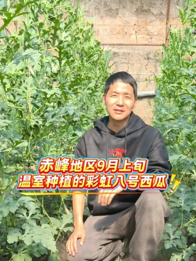 ԥ�ղʺ�˺�9����Ѯ�������ݪֲ������Ԥ��11��20������������#�ʺ�˺� #�ʺ����� #ԥ������ #��������� #��������