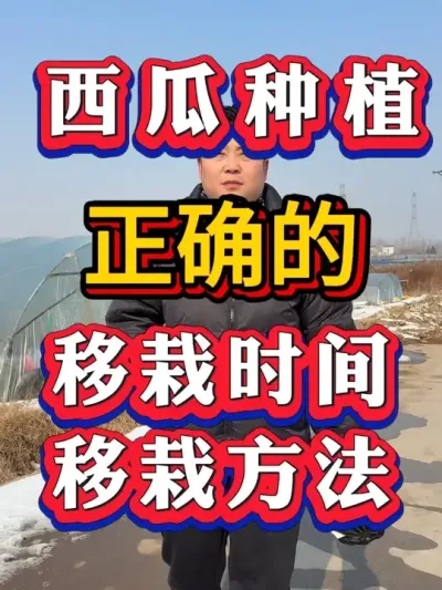 ����ݪֲ׼ȷ�� ����ʱ�������Ҫ�� #������ #����ݪֲ#����ݪֲ#����ݪֲ #����ݪֲ #��������#8424����