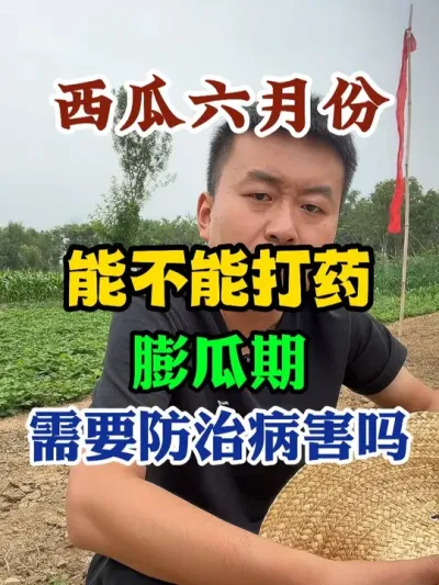 西瓜六月份能不能打药膨瓜期需要防治病害吗 #西瓜种植 #农业种植 #种植小技巧 #传播农业小知识 #分享农业知识帮农民增产增收