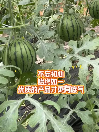 ��Թ��ʺ������������ֹ��ʺ���������#�ʺ����� #�ʺ�˺� #��������� #�������� #��ɫũ��Ʒ