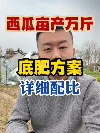西瓜亩产万斤的底肥方案详细配比 #西瓜种植 #西瓜种植技术 #种植小技巧 #传播农业小知识
