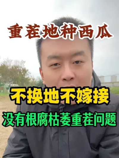 �ز�������ϲ����ز��޽�����û�и�����ή�ȵ��ز����� #����ݪֲ #ݪֲС���� #����ũҵС֪ʶ #����ũҵ֪ʶ��ũ����������