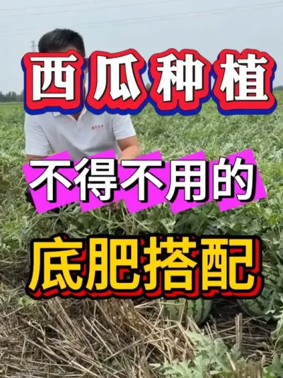 ����ݪֲ���ò��صĵ׷ʴ���ƻ� #������ #����ݪֲ #����ݪֲ #����ݪֲ  #����ݪֲ  #�������� #8424����